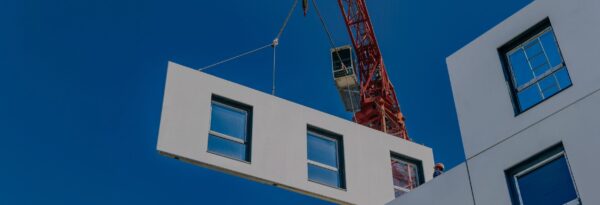 op d banner antonio edit